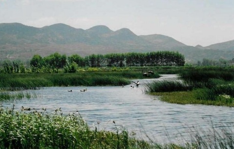 貴州草海國家級自然保護(hù)區(qū)