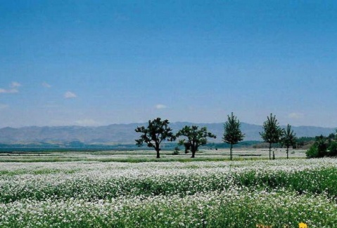 貴州草海國家級自然保護(hù)區(qū)