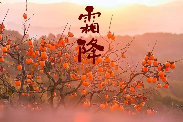 转眼间霜降至Q一杯暖酒渡U冬