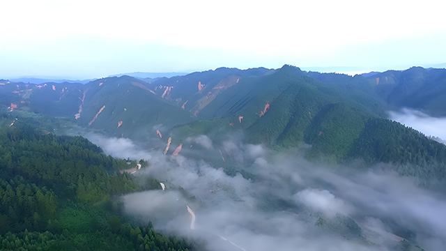 錦屏人工造林習俗