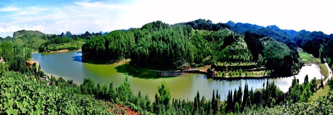 安順九龍山森林公園