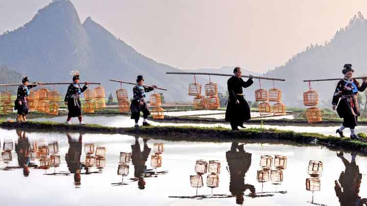 中國鳥籠文化之鄉(xiāng)——卡拉