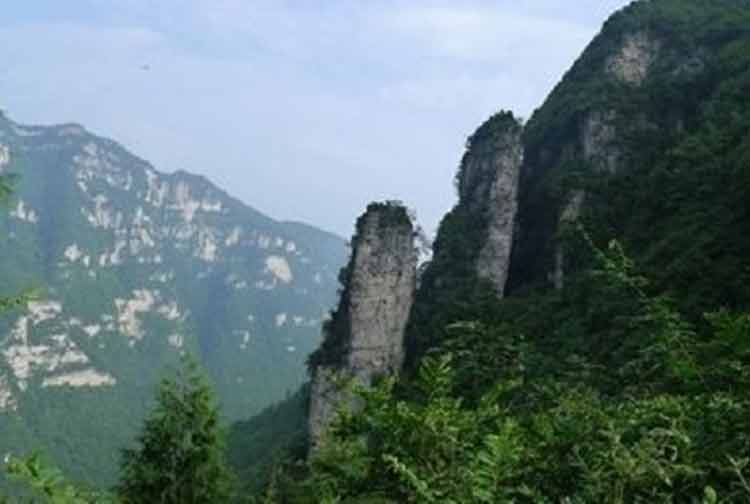 桐梓柏箐自然保護(hù)區(qū)