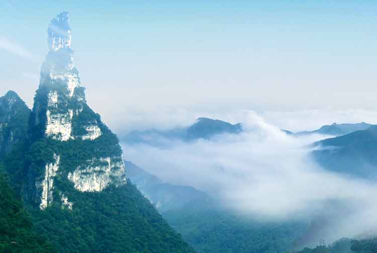 桐梓黃蓮原始森林