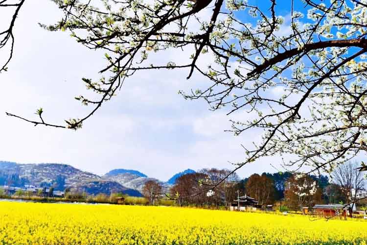貴定金海雪山景區(qū)