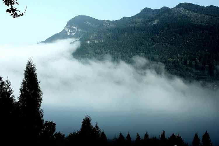 石阡五峰山森林公園景區(qū)