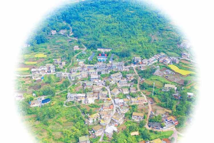 貓?zhí)优纤鳂虼? width=