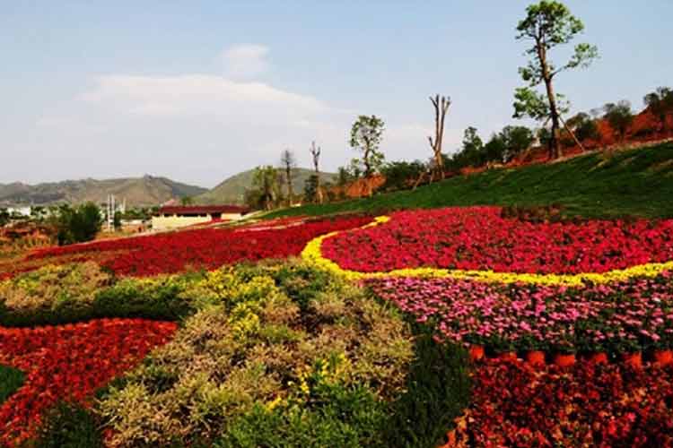 好花紅鄉(xiāng)村旅游國(guó)家AAAA級(jí)景區(qū)