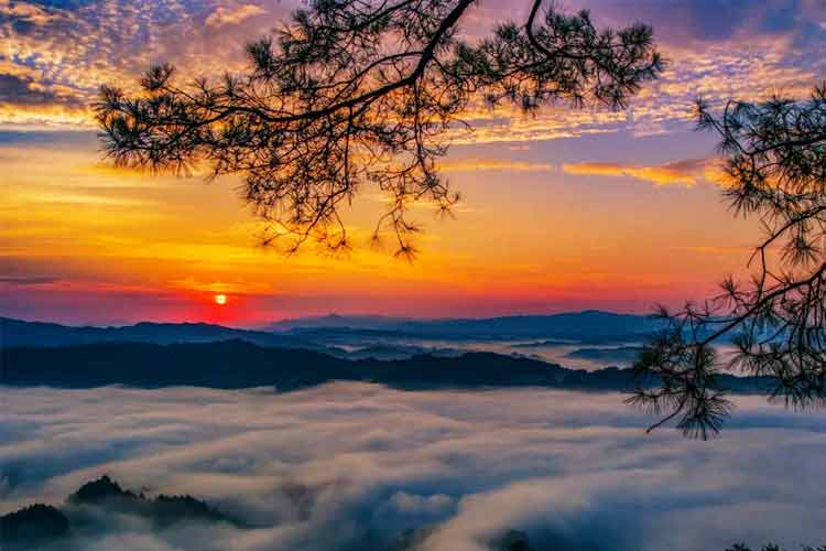 國家級森林公園習(xí)水飛鴿景區(qū)