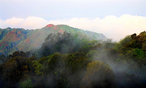 安龍仙鶴坪國(guó)家森林公園