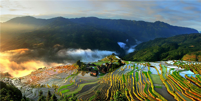 加榜梯田