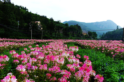 噠啦仙谷景區(qū)