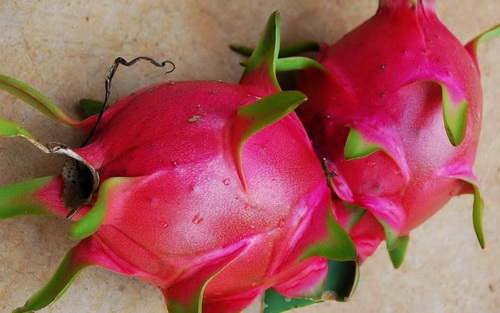 關嶺紅心火龍果