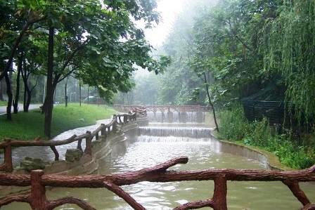 貴陽(yáng)森林野生動(dòng)物園