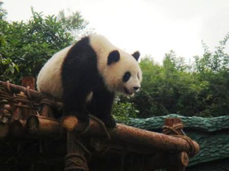 貴陽(yáng)森林野生動(dòng)物園