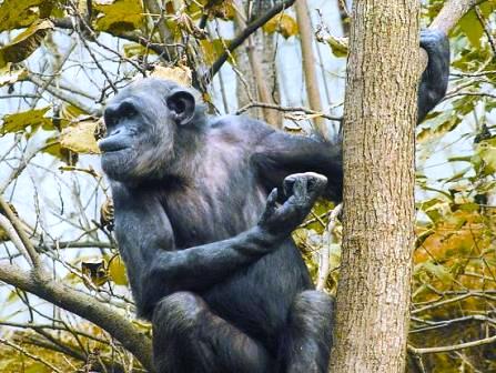 貴陽(yáng)森林野生動(dòng)物園