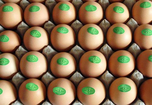 開陽富硒雞蛋