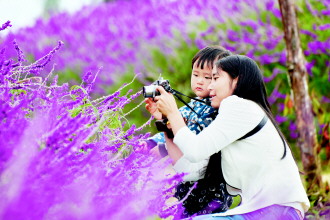 龍里縣龍架山森林公園