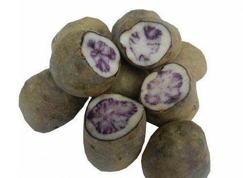 盤縣四格烏洋芋