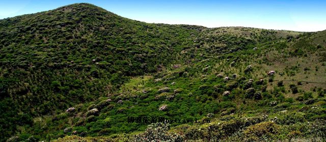 牛棚梁子風(fēng)景區(qū)