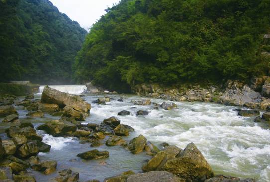 麻陽(yáng)河黑葉猴國(guó)家級(jí)自然保護(hù)區(qū)