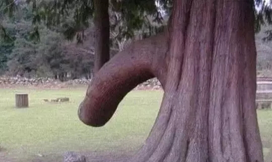 中國十大讓人臉紅的景點(diǎn)