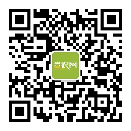 貴農(nóng)網(wǎng)的微信公眾號二維碼 貴農(nóng)網(wǎng)的微信公眾號二維碼
