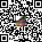 微微桐梓的微信公眾號二維碼