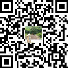 印江永義的微信公眾號(hào)二維碼 印江永義的微信公眾號(hào)二維碼